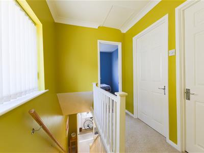 Picture 15